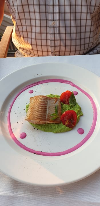 Gastro Liberty Lykia Adults Only