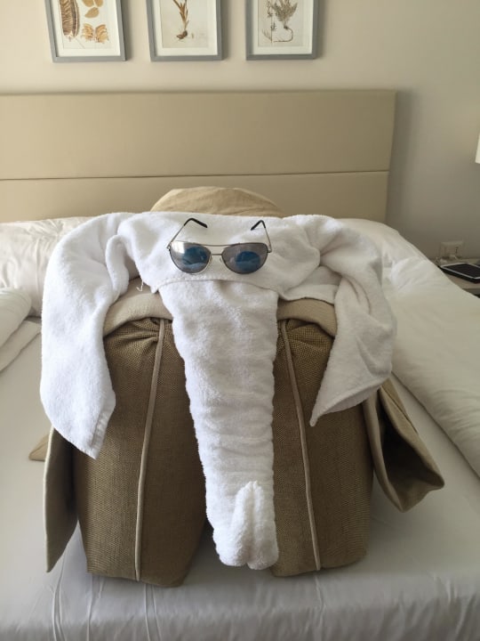 Jaz Aquaviva Jaz Aquaviva