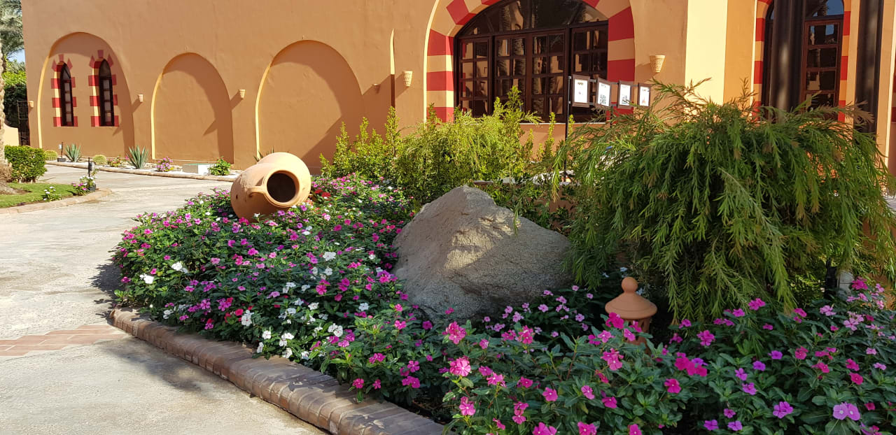 Gartenanlage Jaz Makadi Oasis Resort