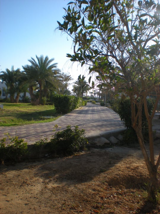 Jardin Hotel El Mouradi Djerba Menzel