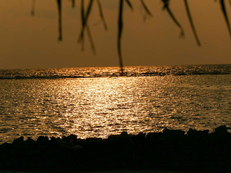 Strand Summer Island Maldives
