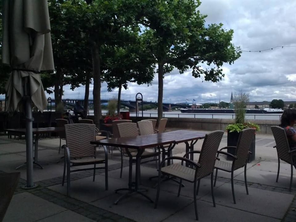Rheinblick Hilton Mainz