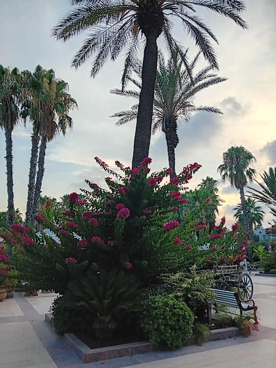 Ausblick Adora Hotel & Resort