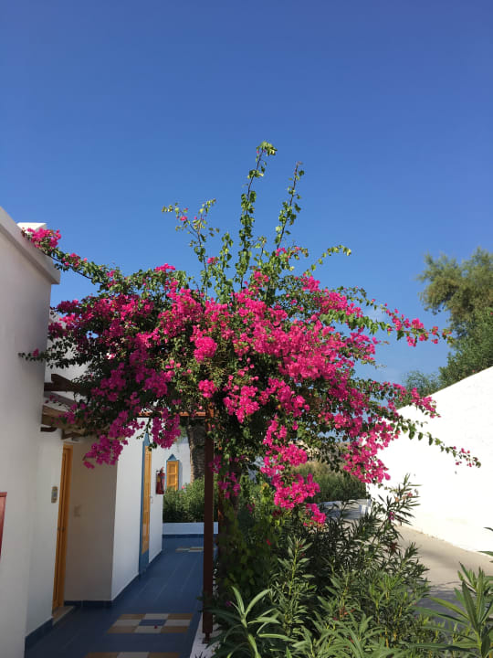 Gartenanlage Lagas Aegean Village