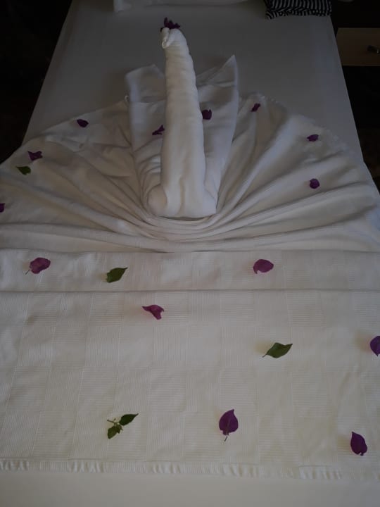 Zimmer Lonicera Resort & Spa Hotel