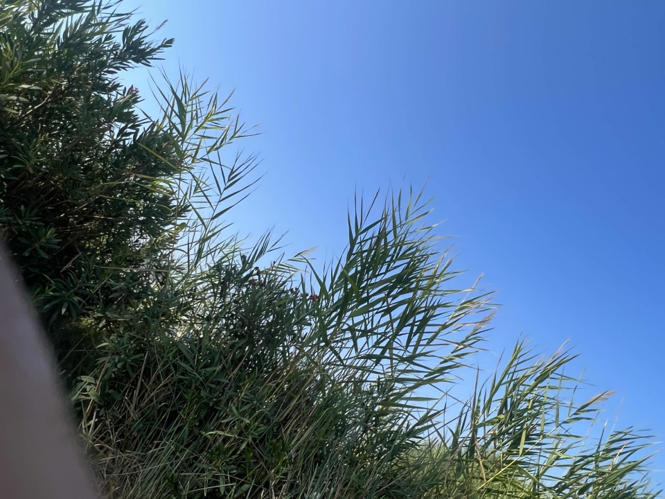 Gartenanlage Rixos Premium Göcek