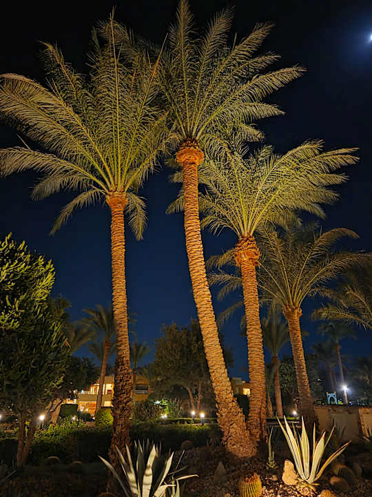 Gartenanlage Golden Beach Resort