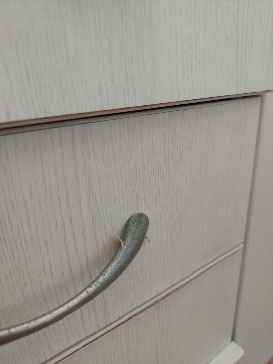 Zimmer Grupotel Club Menorca