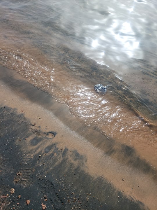 Strand The Grand Palace - Adults only