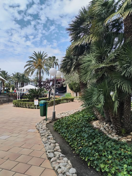 Gartenanlage Alcudia Garden Aparthotel