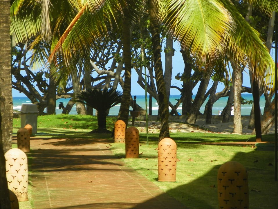 XI.2016 Marien Puerto Plata