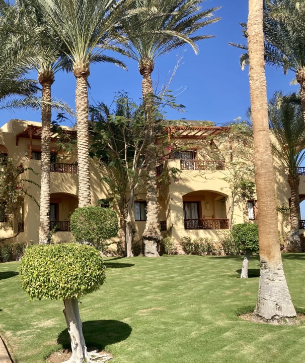 Gartenanlage Steigenberger Coraya Beach - Adults only