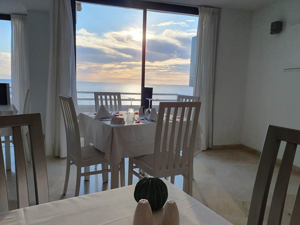Gastro Sentido Fido Punta del Mar – Adults only