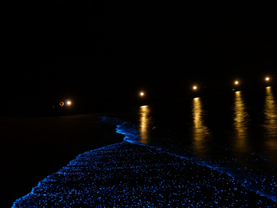 Fluorezierendes Plankton, traumhaft schön Angaga Island Resort