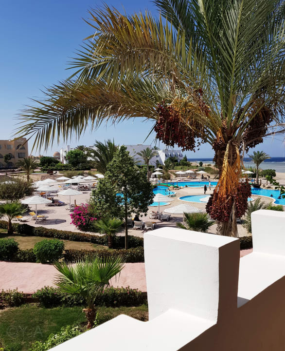 Ausblick Three Corners Equinox Beach Resort