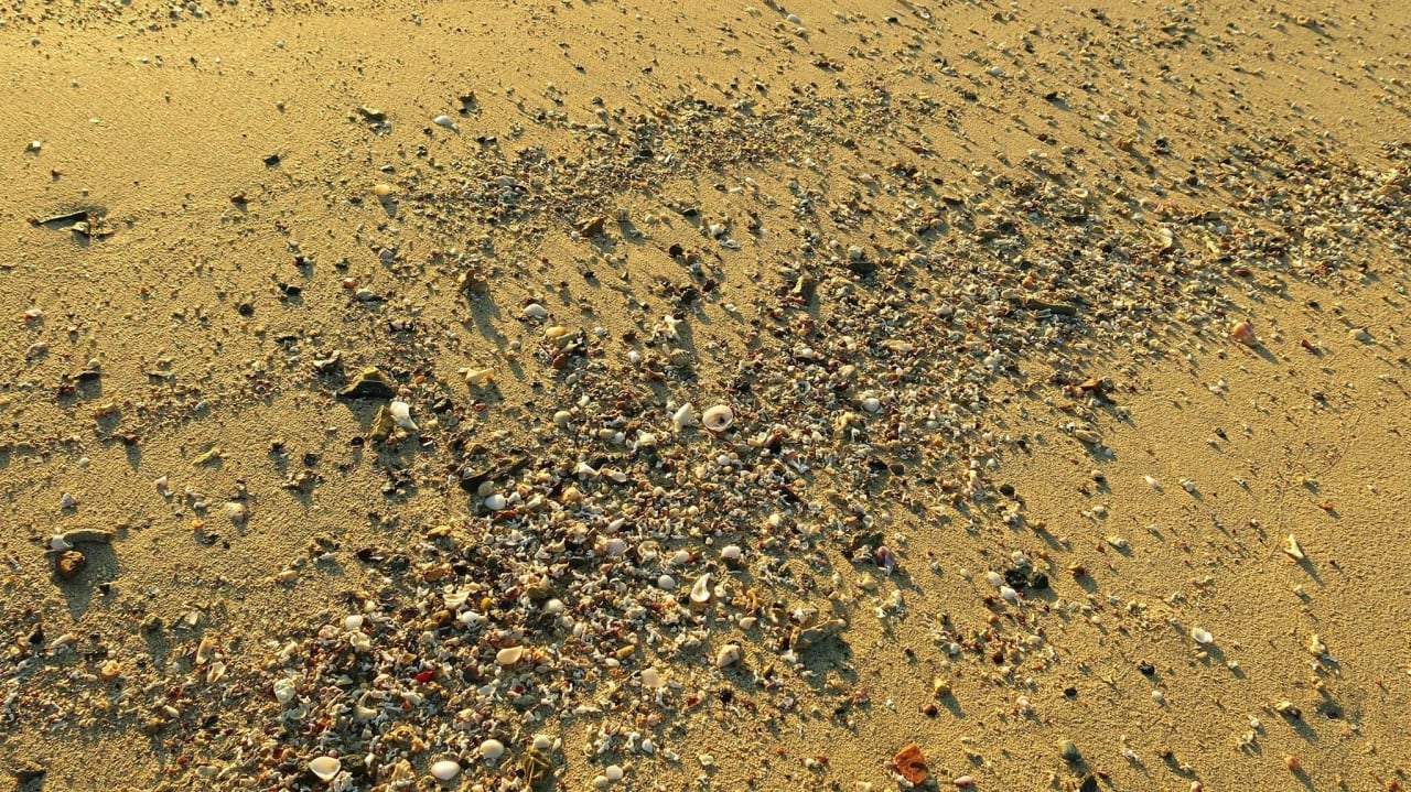 Strand Shams Alam Beach Resort