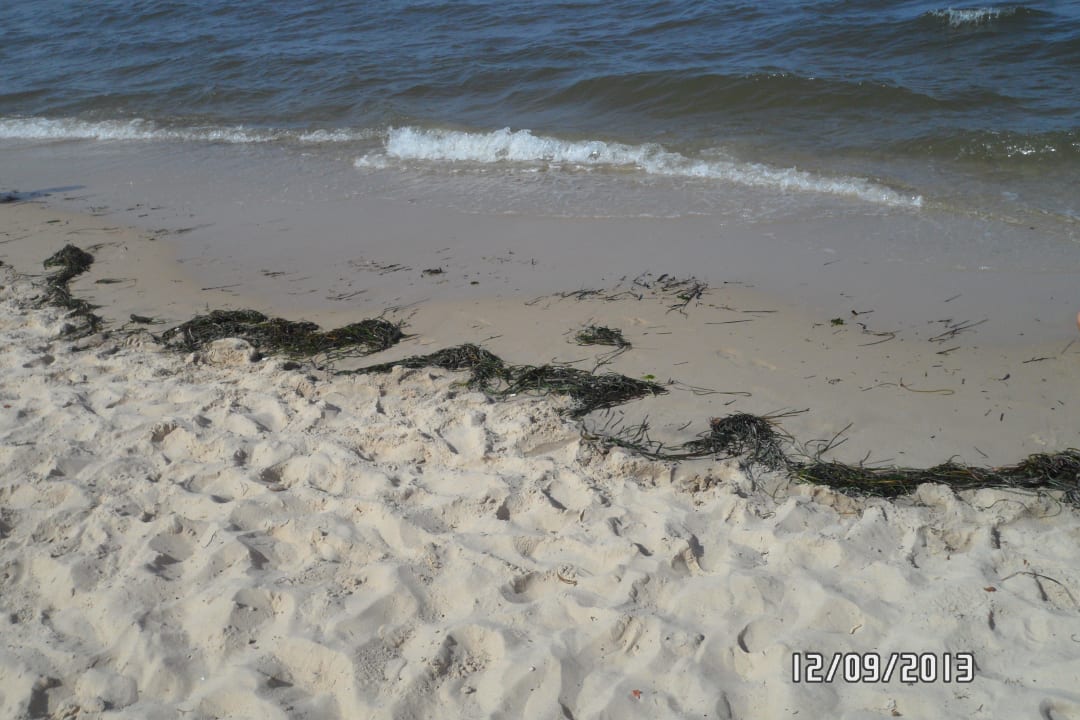 Dreckiger Strand Hotel El Mouradi Skanes Beach