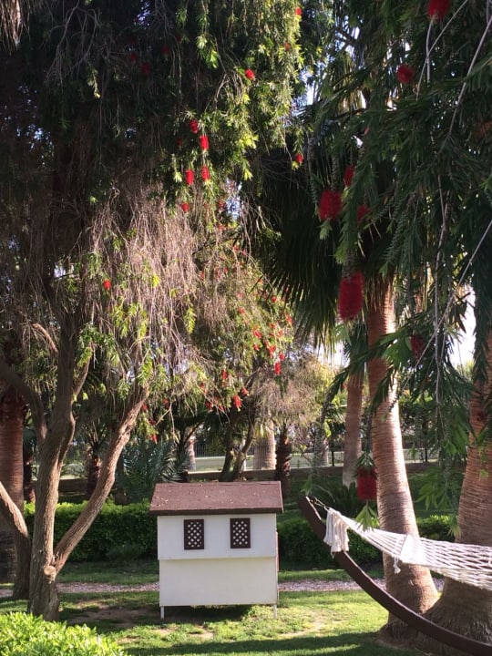 Gartenanlage VONRESORT Golden Coast