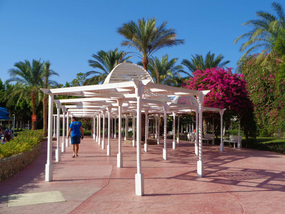 Gartenanlage Desert Rose