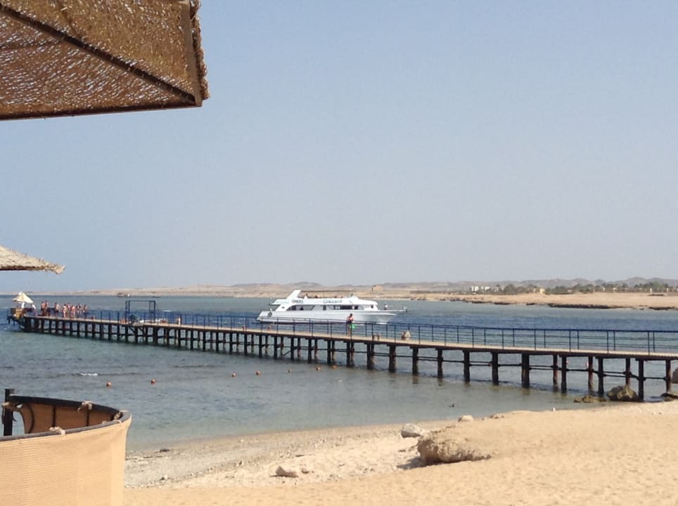 Strand Pickalbatros Palace Hotel-Port Ghalib