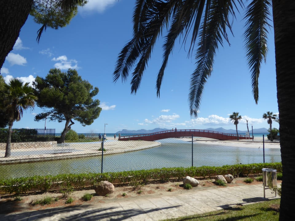 Aussicht zum Meer in die Bucht von Alcudia allsun App.-Hotel Orquidea Playa