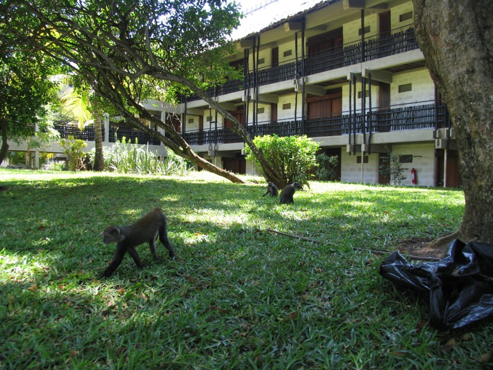 Baobab Diani Beach Hotel Baobab Beach Resort & Spa