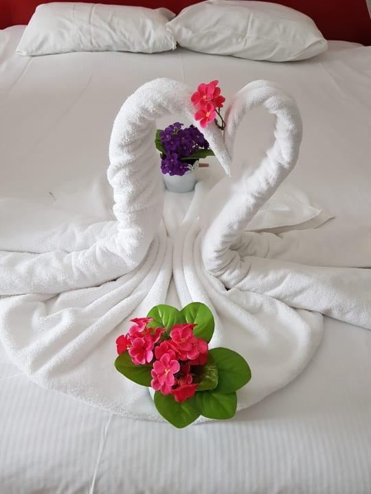 Zimmer Seaden Valentine Resort & Spa