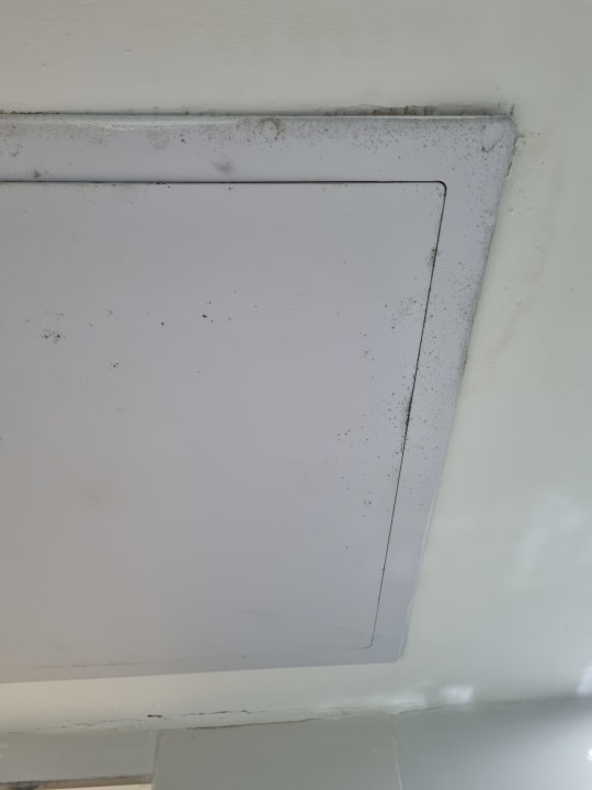 Zimmer Hotel Viva Dominicus Beach by Wyndham - All Inclusive Resort