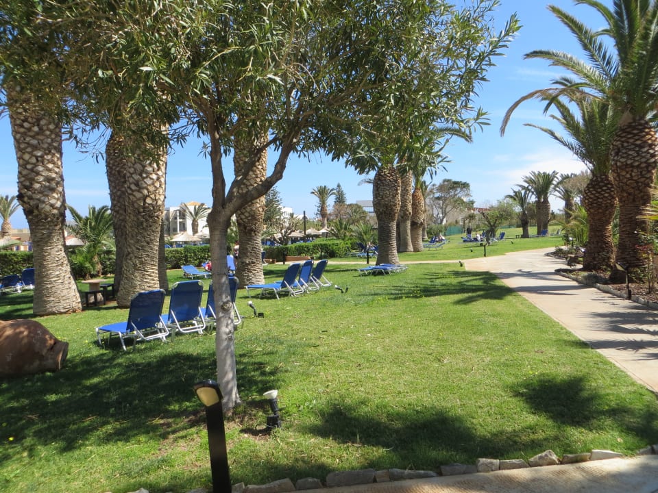 Teil der sehr gepflegten Gartenanlage Anissa Beach & Village