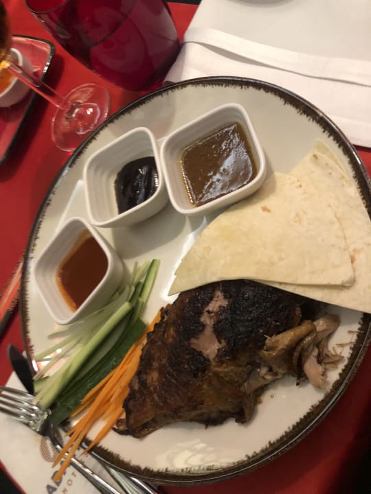 Gastro Adalya Elite Lara