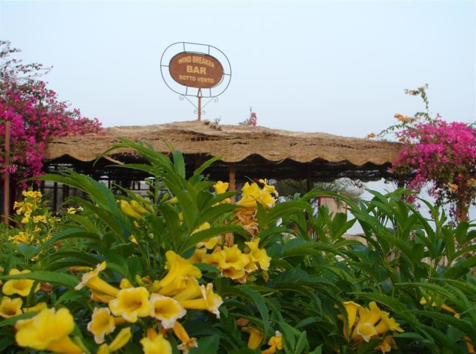 Strandbar Fort Arabesque Resort, Spa & Villas