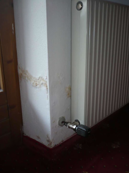 Feuchtigkeitsschaden Hotel zum Holzknecht am See