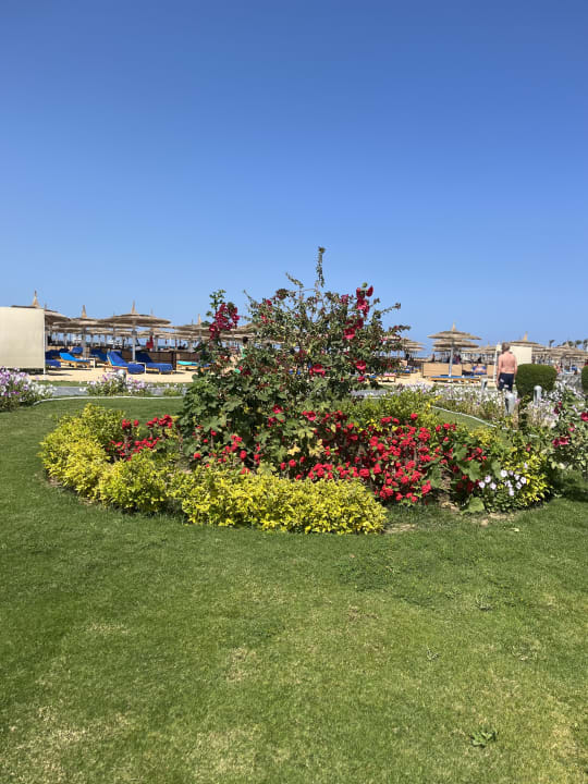 Strand Pickalbatros Dana Beach Resort - Hurghada