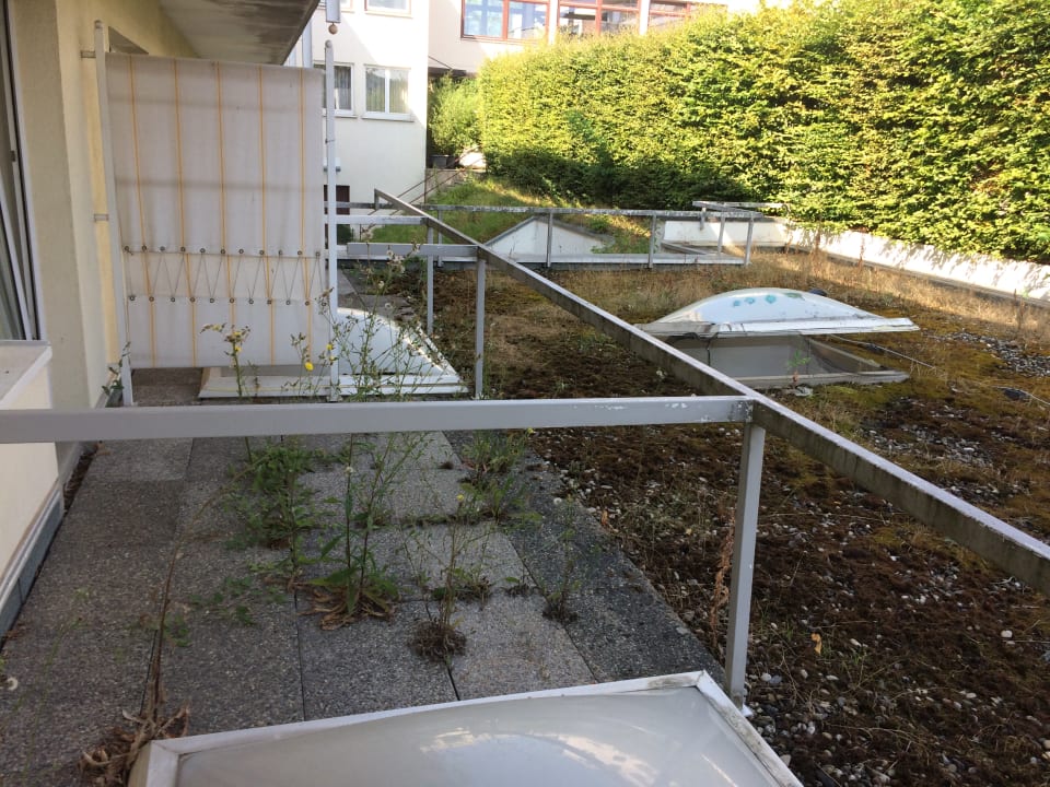 Ausblick Vitalhotel König am Park