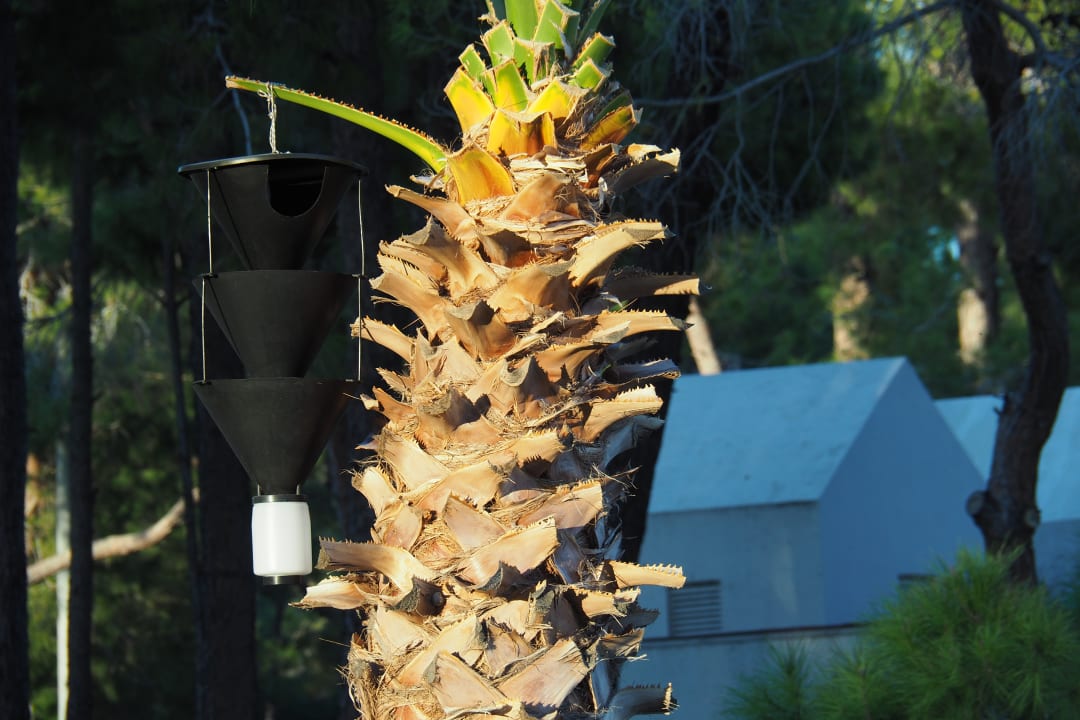 Gartenanlage Arcanus Hotels Sorgun
