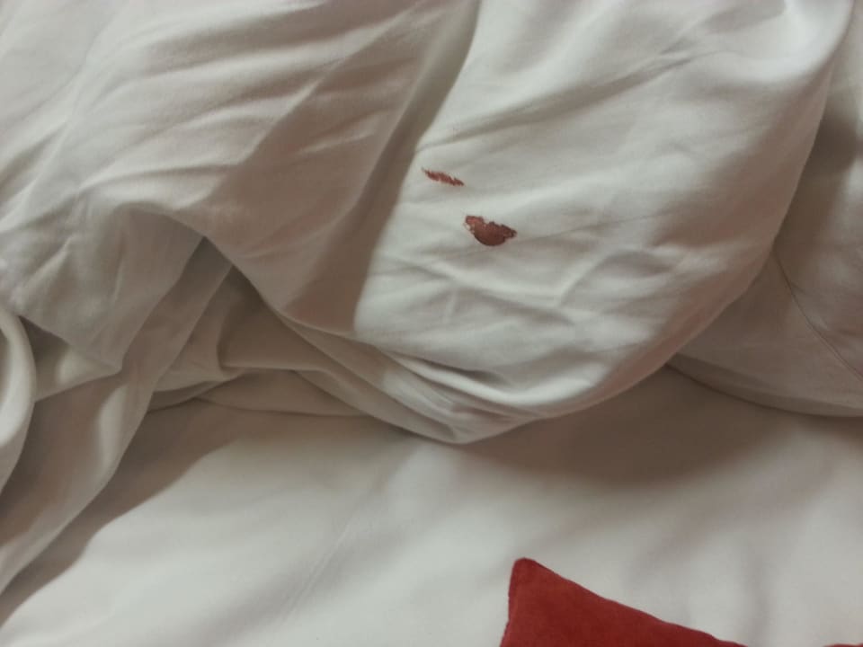 Bettdecke Blutverschmiert Berger's Sporthotel
