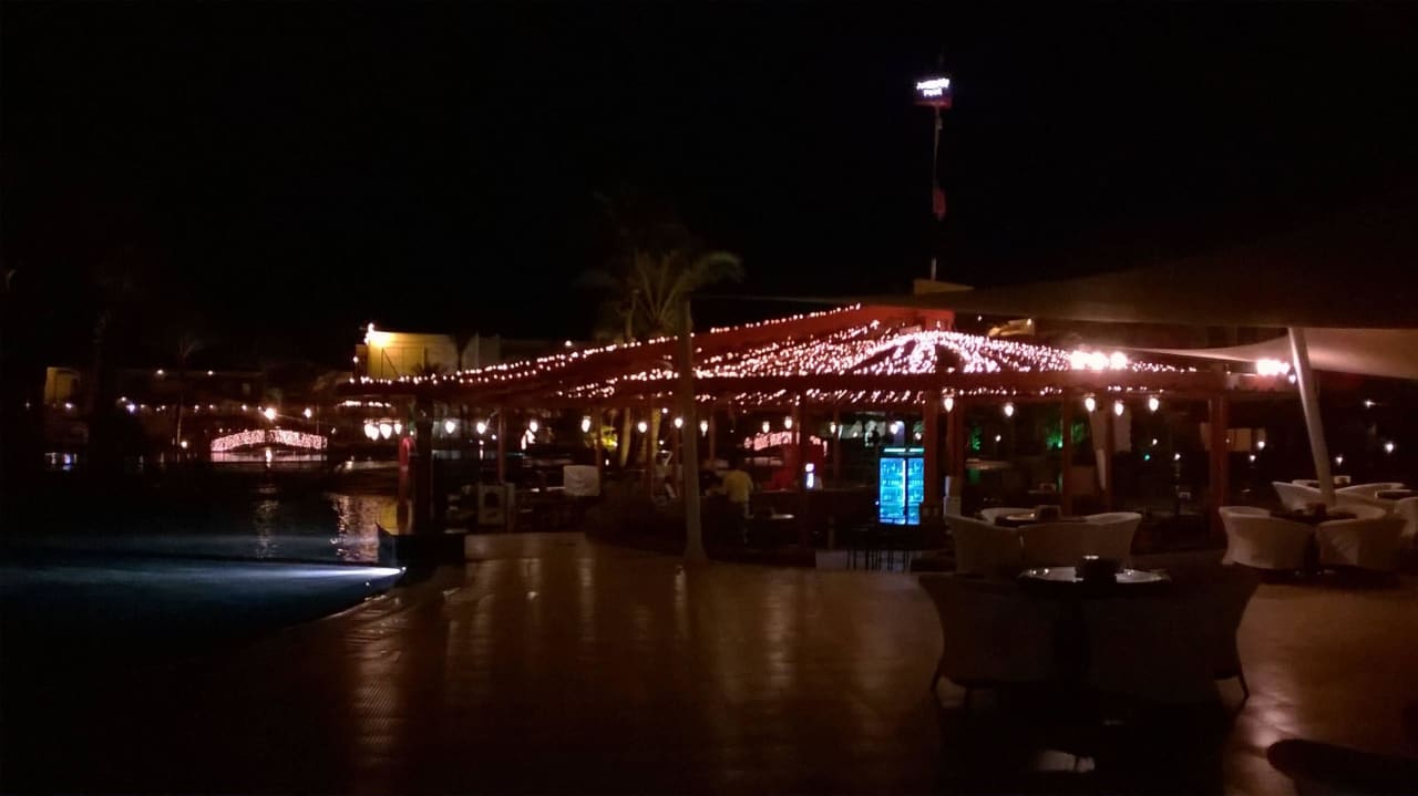 Bei Nacht Desert Rose