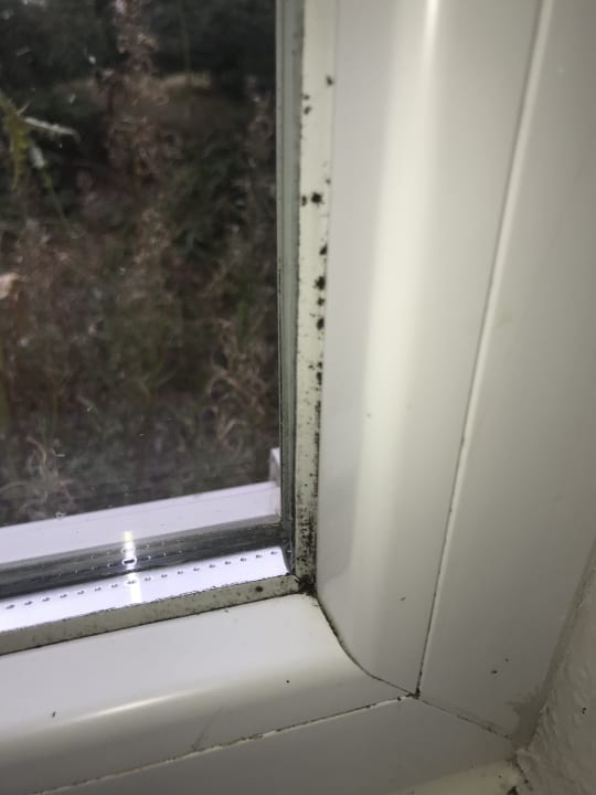 Zimmer Center Parcs Park Bostalsee