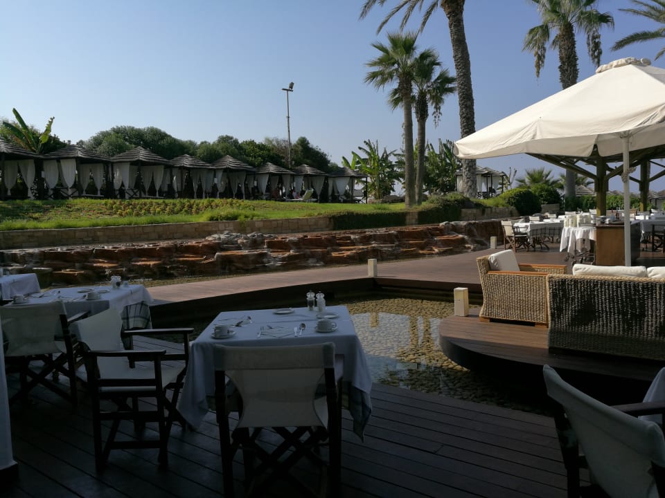 Gastro TUI BLUE Pioneer Beach