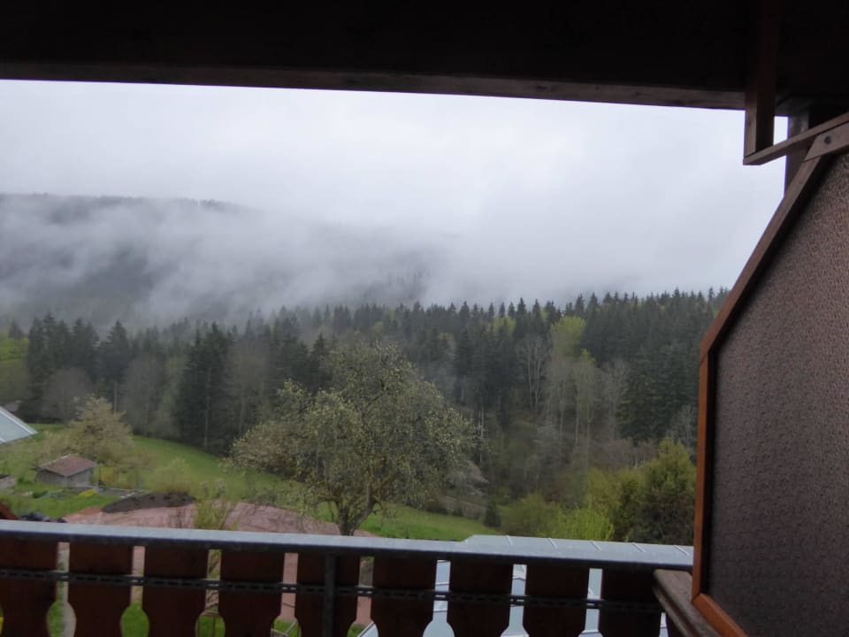 Blick auf den Schwarzwald Schwarzwaldhotel-Gasthof Hirsch