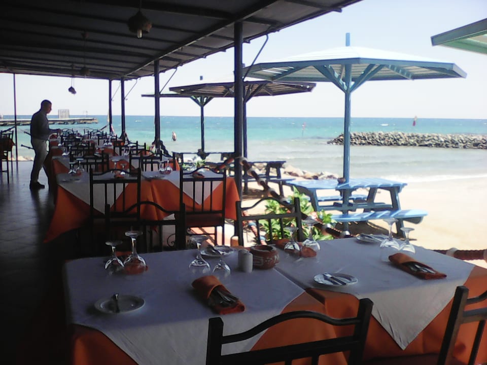 Restaurant Desert Rose