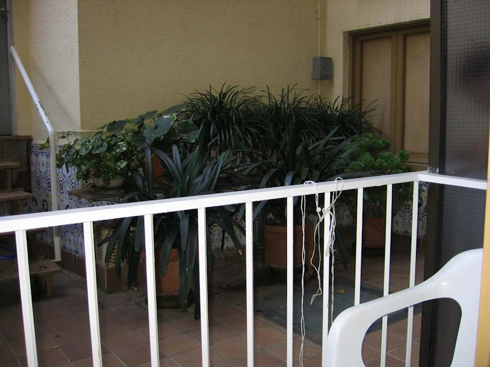 Wenigstens etwas Grün ALEGRIA San Juan Park