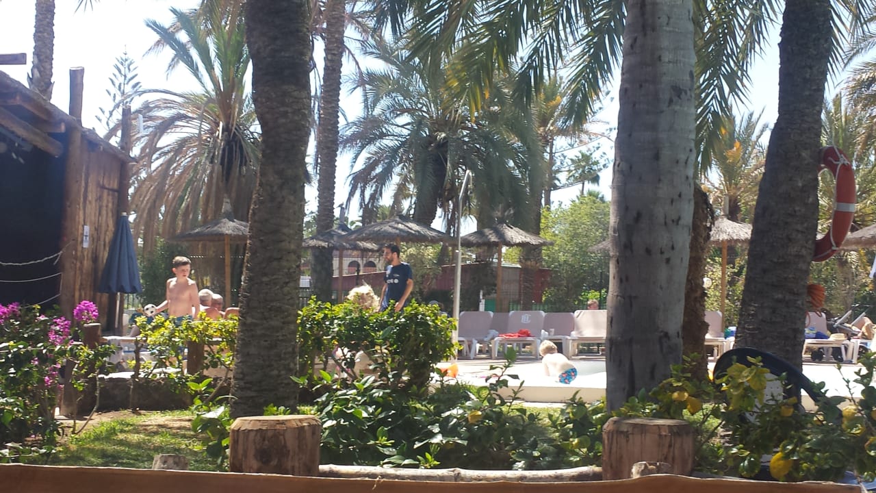 Sehr sauber bis auf ein paar kaputte Fliesen HL Miraflor Suites Hotel