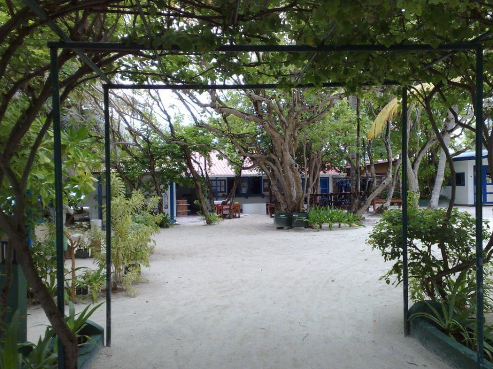 Bootssteg mit Sicht zum Tauchshop Summer Island Maldives