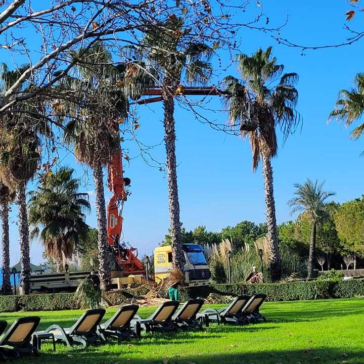 Gartenanlage Trendy Aspendos Beach Hotel