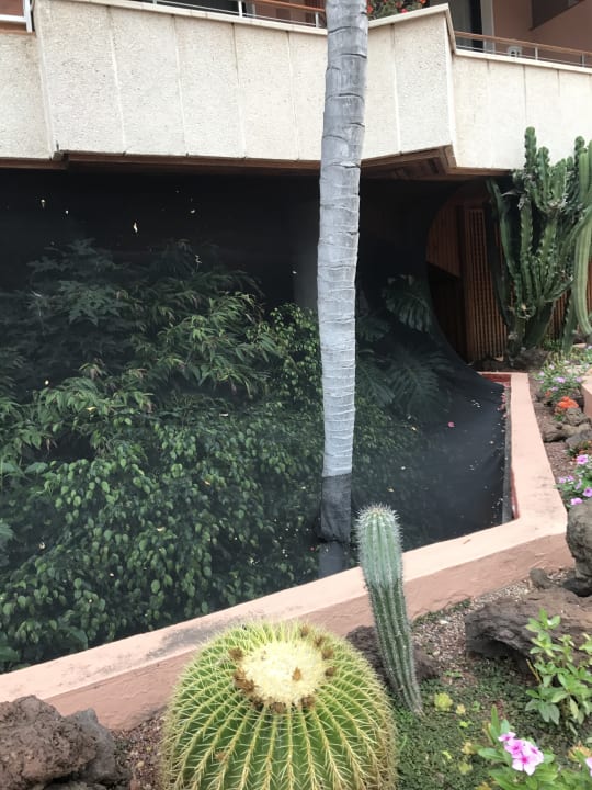 Sonstiges Hotel Botanico & The Oriental Spa Garden