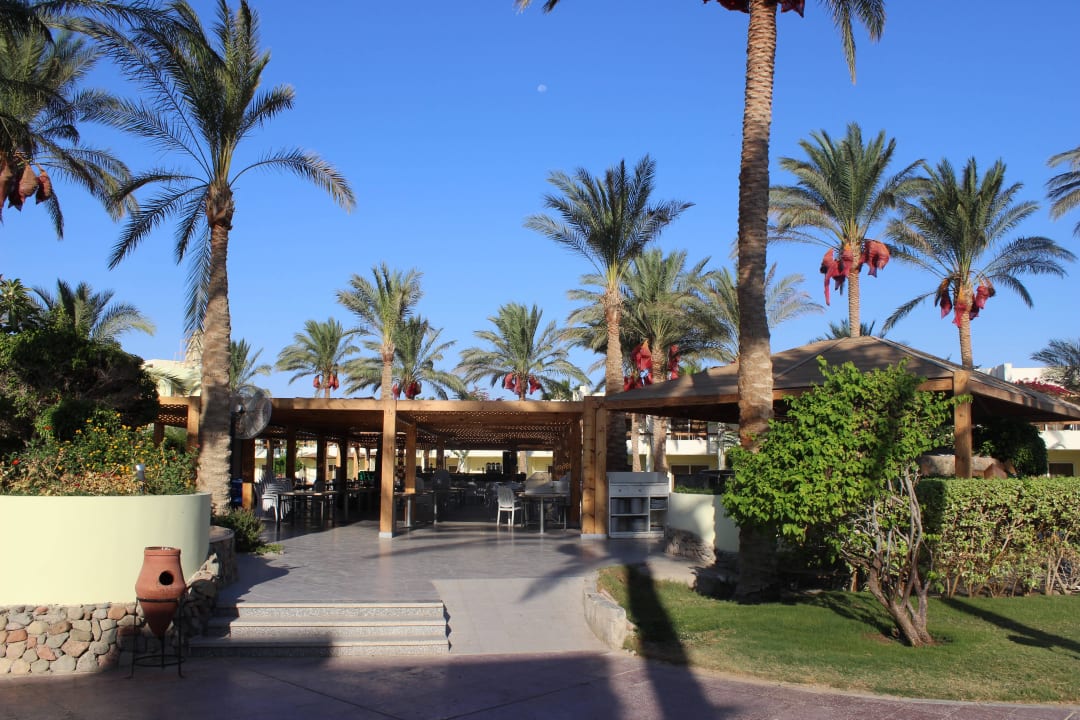 Büffet für Snacks und Bar Palm Beach Resort