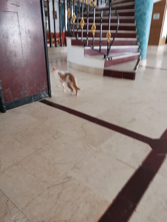 Sonstiges Club Hotel Mirabell