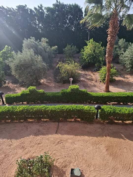 Ausblick Lemon & Soul Makadi Garden