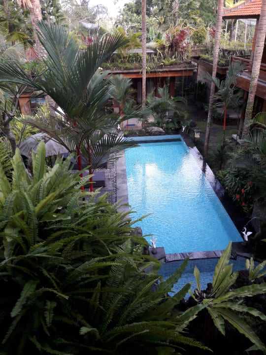 Pool Budhi Ayu Villas Ubud